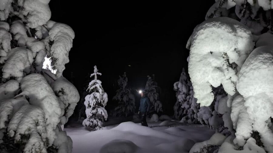 Saariselkä: Snowshoeing Tour in Urho Kekkonen National Park - The Real Benefit: Authenticity and Connection