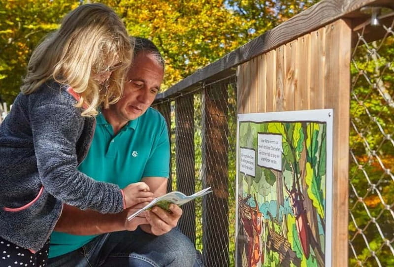 Saarland: Treetop Walk Saarschleife & Lookout Tower - The Sum Up