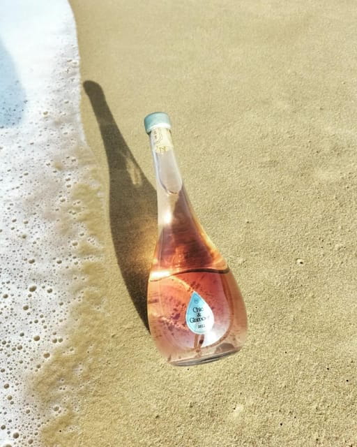 Saint-Emilion : Tasting of 4 wines in a family vineyard - What Makes This Experience Stand Out