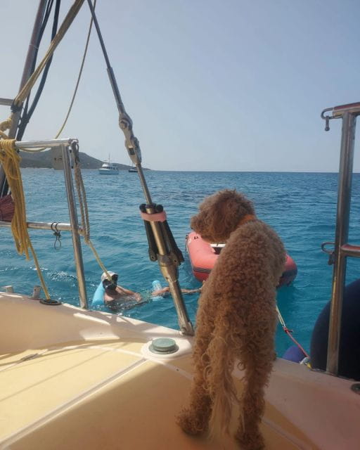 Saint-Florent: sailing excursions with Sailingmaures - Who Should Consider This Experience?