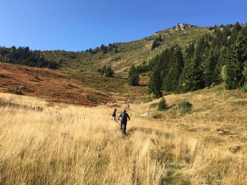 Saint-Georges d'Hurtières: Guided electric mountain bike tour (Enduro) - What to Expect: A Mix of Trails and Alpine Vistas