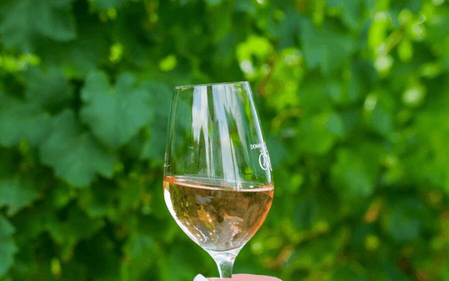 Saint-Tropez: Small Group Wine Tour - The Scenic Stops and Unique Wineries