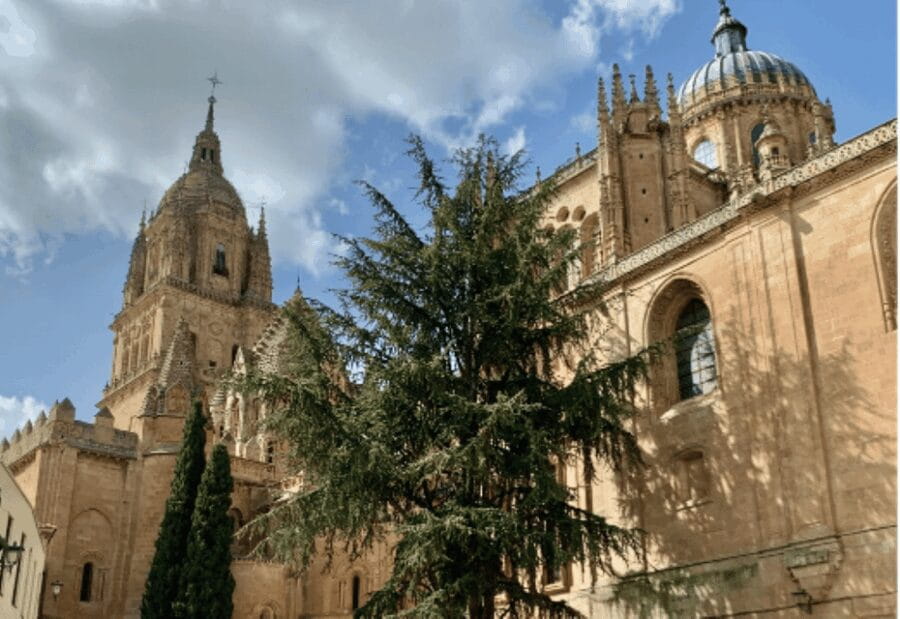 Salamanca Genial Tour privado - Why This Tour Stands Out