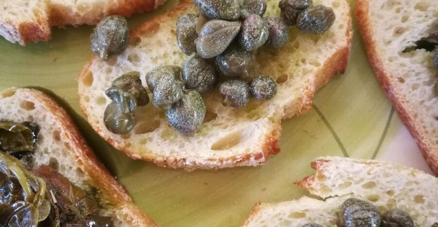 Salina Capers Experience - Discover the Heart of Salina’s Agriculture