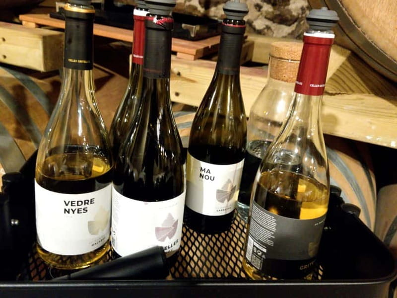 Salou: Priorat tasting Wine-Cellar Tour with hotel pickup - Who Should Consider This Tour?