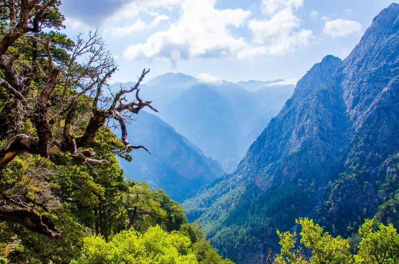 Samaria Gorge : Private Full-Day Guided Experience - Diving into the Details: What to Expect