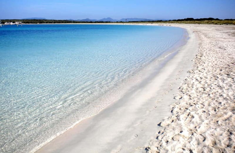 San Antonio: Es Vedrà, Formentera Tour with Food & Drinks - Who Will Love This Tour?