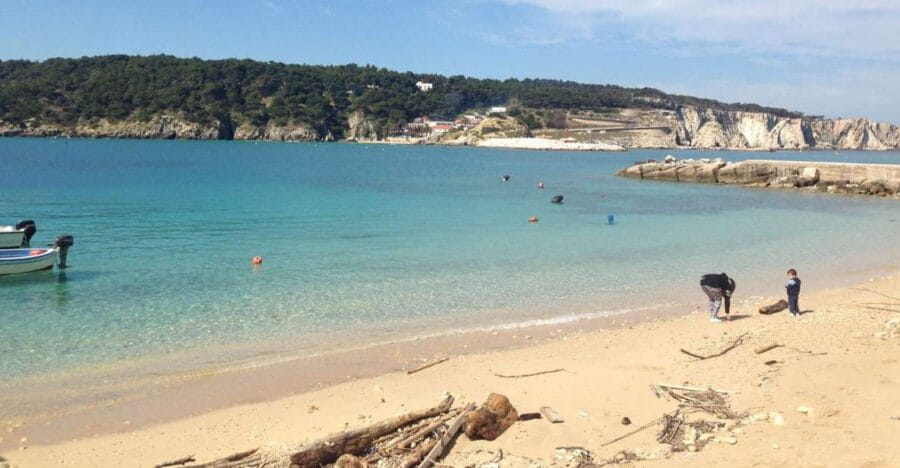 San Domino, Tremiti: Guided dives around Tremiti Islands - Logistics and Practical Tips for Travelers