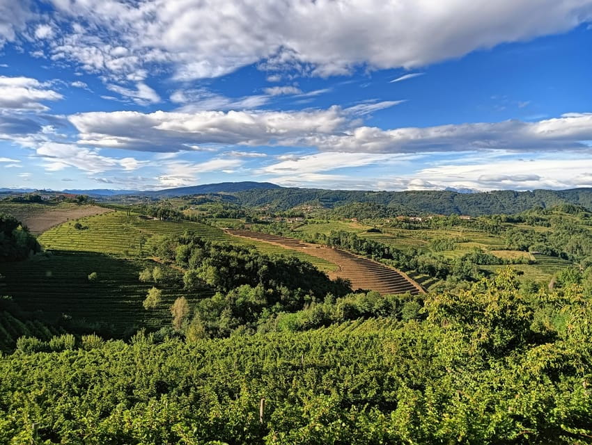 San Floriano del Collio: Wine, Food, and Castle Tour - Who Should Consider This Tour?