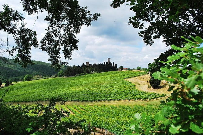 San Gimignano and Chianti Classico Wine and Food PRIVATE TOUR from Florence - Monteriggioni: A Walk Along Medieval Walls