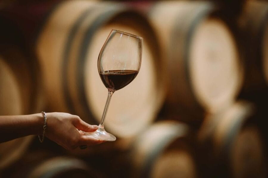 San Gimignano: Fiorentina Steak Dinner in Winery - Entering the Tuscan Flavor Realm: What the Experience Offers