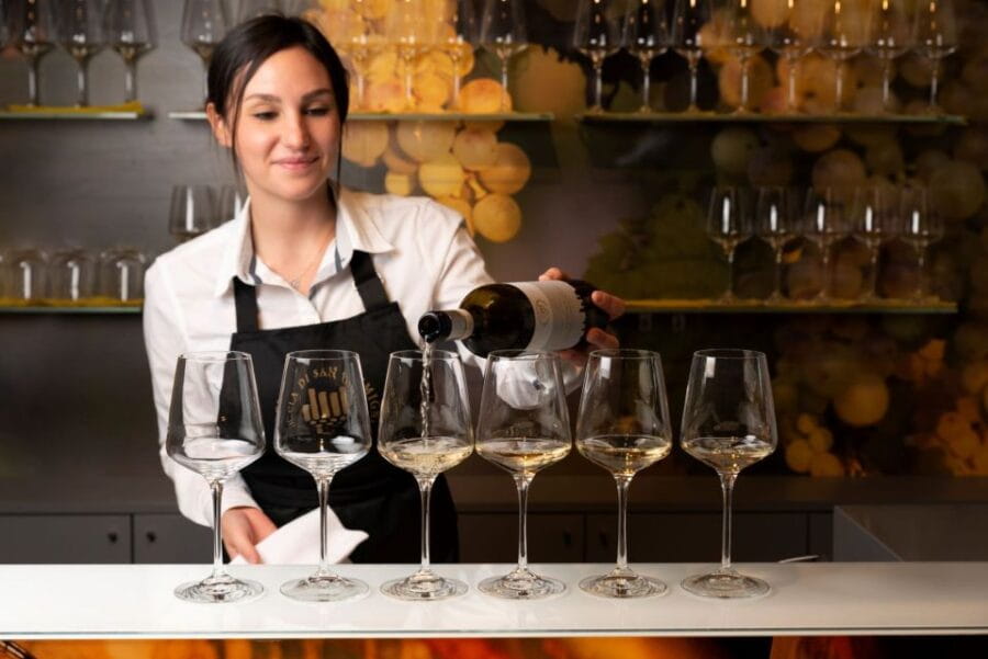 San Gimignano: Professional Wine Tasting Experience - Price and Logistics: What You Need to Know