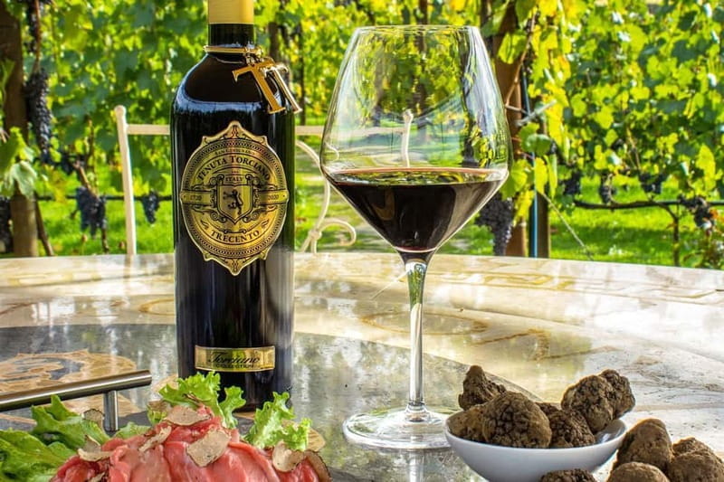 San Gimignano: Wine and Oil Tasting with Tuscan Appetizers - What You Can Expect from This Experience