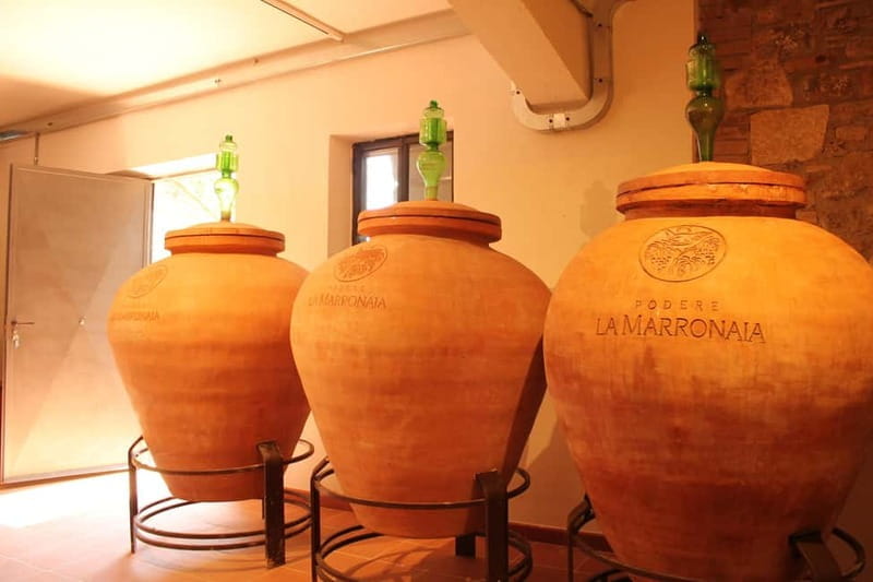 San Gimignano: Wine, Oil, Cheese & Balsamic Tasting - The Tasting Experience: What to Expect