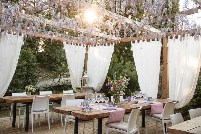 San Gimignano: Wine Tasting in an Organic Family Winery - Who Should Consider This Tour?