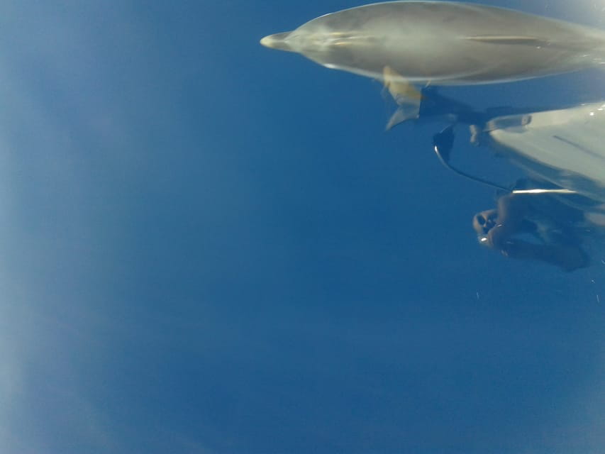 Sani: W Sithonia secluded coves & islets Sailing yacht trip - Key points / Takeaways