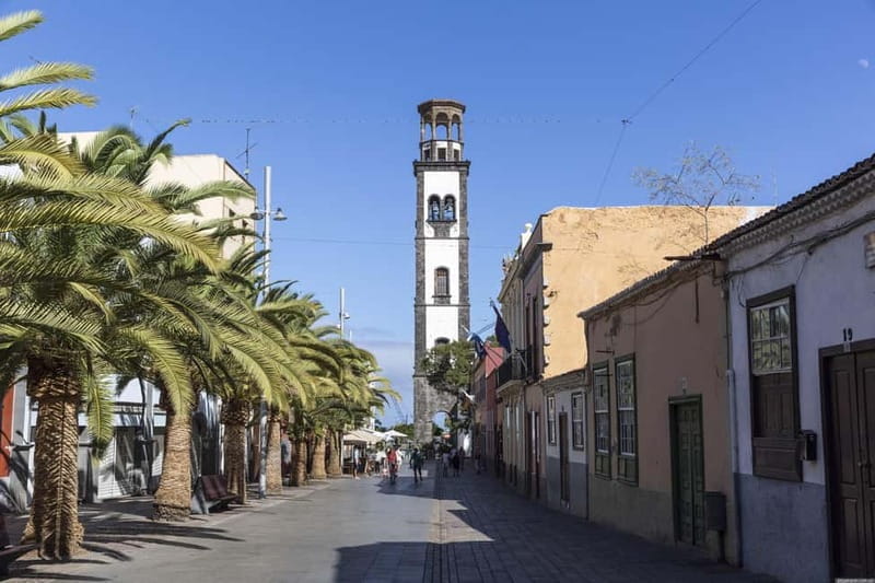 Santa Cruz de Tenerife: walking tour with an expert local guide - The Experience: Facts, Flow, and Practicalities