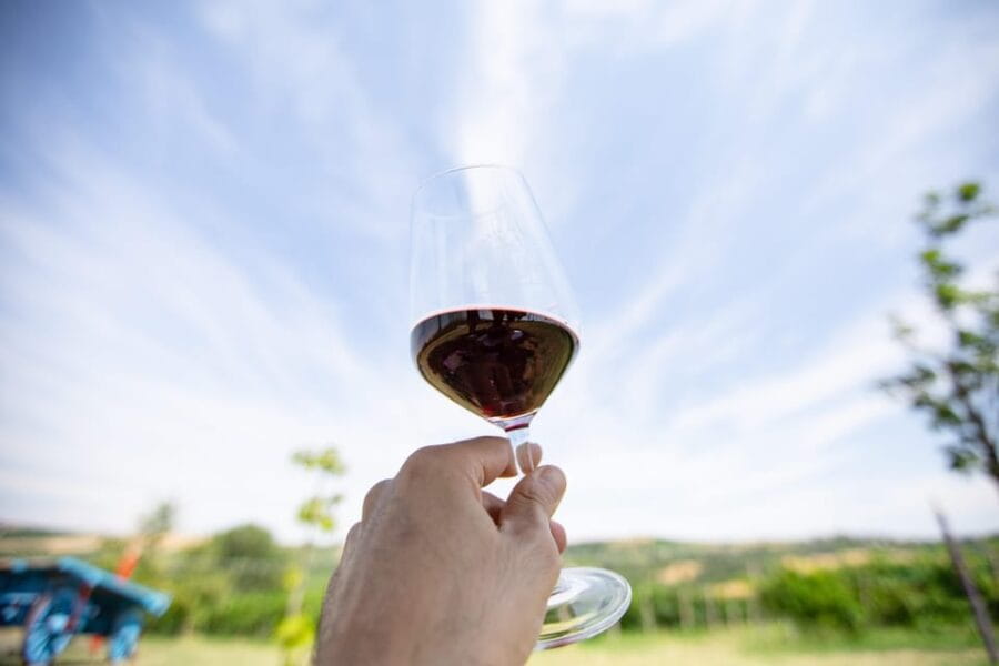 Santa Maria della Versa: Grape Harvest & Wine Tasting Tour - Logistics and Practical Details