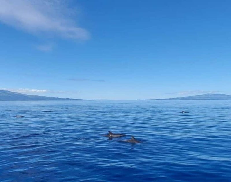 São Jorge: Boat trip with snorkeling (2 hours) - The Route: From Panoramas to Underwater Delights