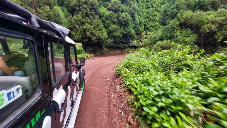 São Miguel Island: Full Day Furnas and Furnas Lake Tour - The Sum Up: Is this tour worth it?