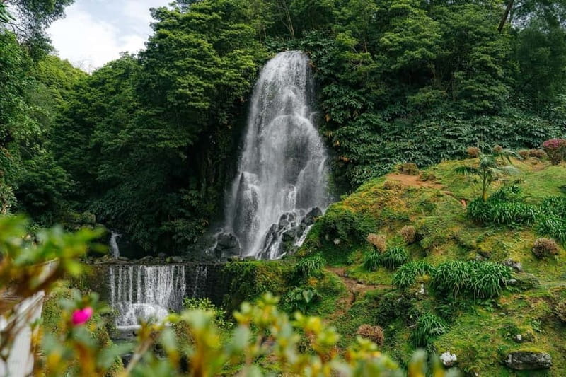 São Miguel Island: Full-Day Ribeira Park and Nordeste Tour - Practical Tips for Making the Most of Your Day