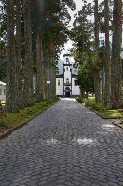 Sao Miguel Island: Sete Cidades and Lagoa do Fogo Tour - Pico do Carvão: Panoramic Views of the Island