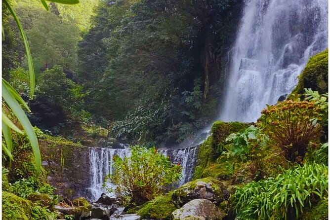 São Miguel: Majestic North Tour (Local Lunch Incl.) - Why This Tour Offers Exceptional Value