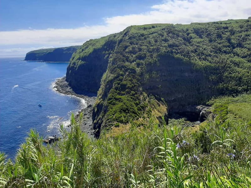 São Miguel: Moinho do Felix Hike with Tea Factory Visit - Price and Value