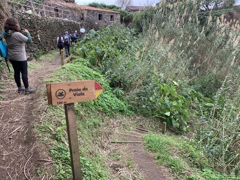 São Miguel: Private Viola Beach Hike & North Coast w/lunch - Price and Logistics: Good Value for an Authentic Experience