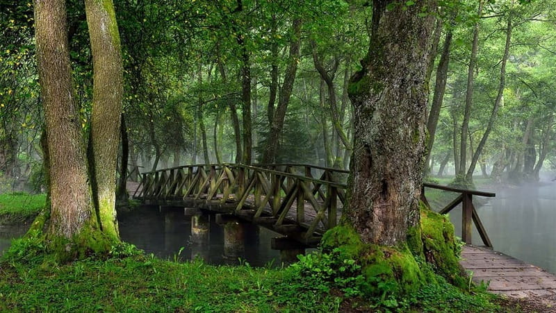 Sarajevo: Vrelo Bosne Nature Park Private Tour - The Itinerary: What to Expect