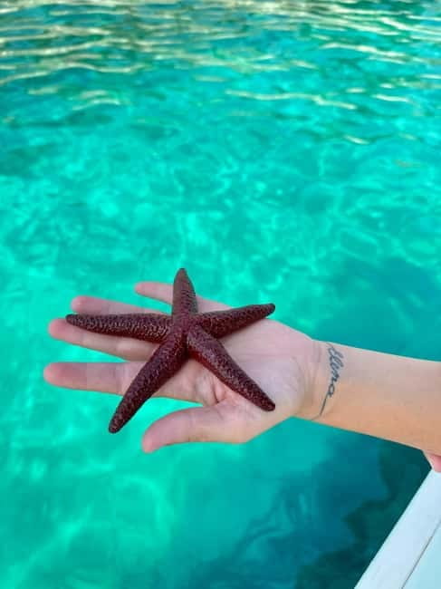 Sarande: Secrets of South Ksamil Hidden Isles & Caslte Ruins - Price and Logistics: Worth Every Kuna