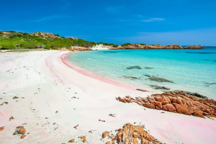 Sardinia: La Maddalena Archipelago Full-Day Trip by Boat - Onboard Experience and Food