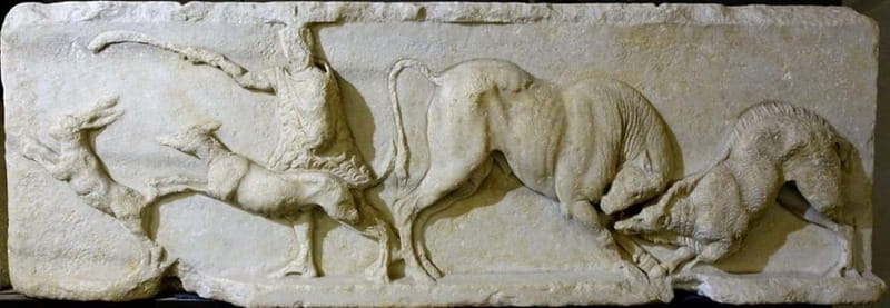 Savona: Guided visit to the Civic Archaeological Museum and the City of Savona - Exploring the Archaeological Layers