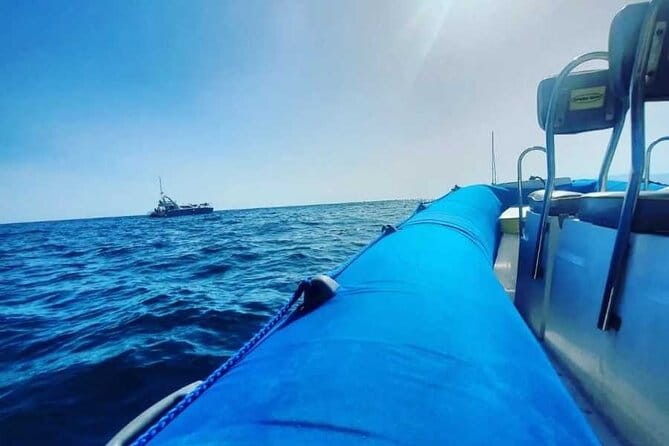 SEA SAFARI, Dolphins, Whales, snorkeling, snack and drink, 2 h speedboat - Final Thoughts