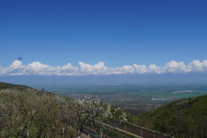 Secrets of Kakheti: Wine & Home-Cooked Lunch - Serene Moments at Bodbe Monastery