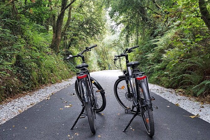 Self Guided Bike Tour on the Tralee to Fenit Greenway - FAQs