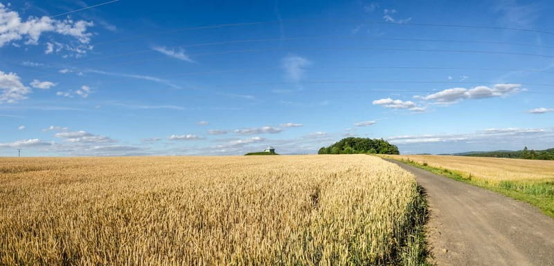 Self-Guided Bike Tour to Unetice Brewery - Final Thoughts: Is It Worth It?