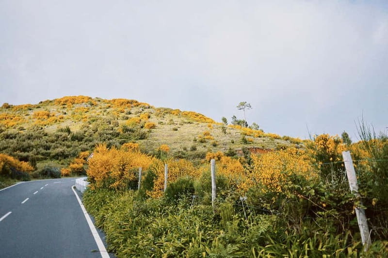 Self-Guided E-Bike Road Tour - Camacha to Monte with Lunch - Final Thoughts: Is It Worth Your Time?