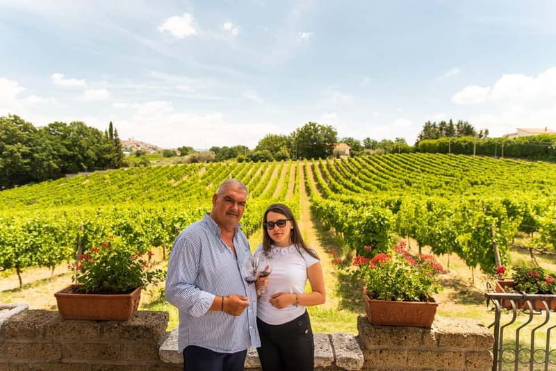 Sella delle Spine Taurasi: Tasting, Vineyard and Winery Tour - The Breakdown: Detailed Itinerary Insights
