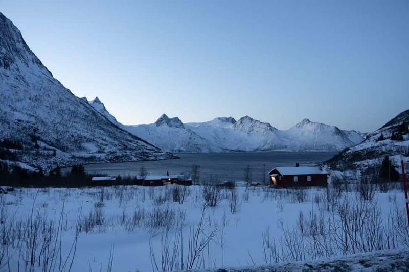 Senja: Full-Day Guided Tour with Husøy and Ersfjord - Who Is This Tour Best For?