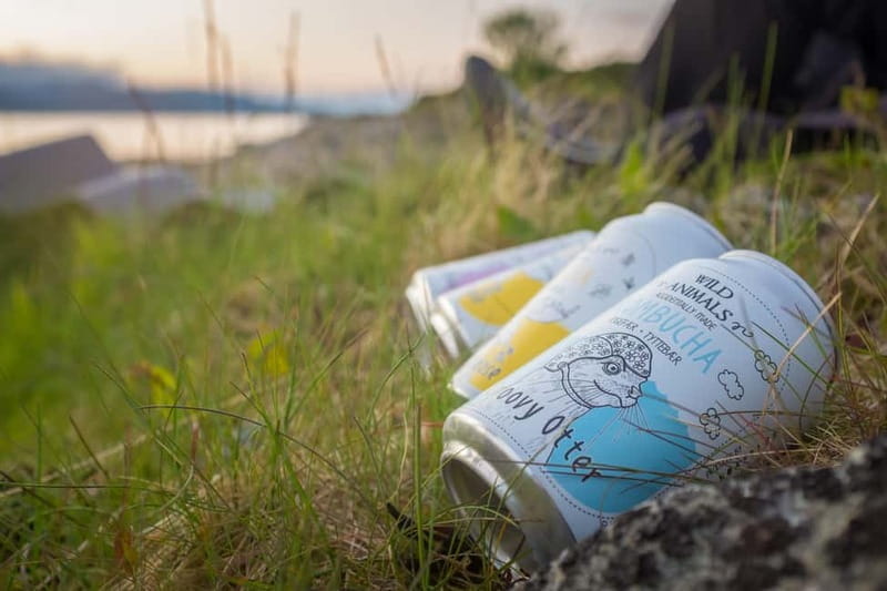 Senja: Midnight Sun Kayaking in Ånderdalen National Park - In-Depth Review: The Scenic and Authentic Side of Senja