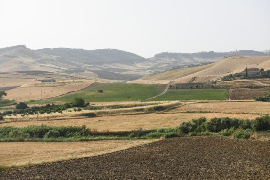 Sensory walk with lunch in the Caltagirone countryside - Discovering Sicily’s Countryside: A Closer Look