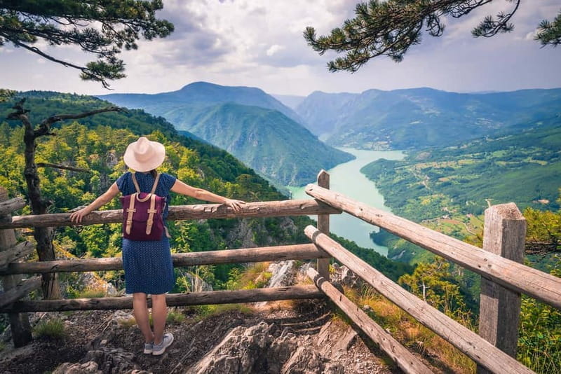 Serbia: Drina River House & Tara National Park Full Day Tour - In-Depth: The Itinerary Breakdown