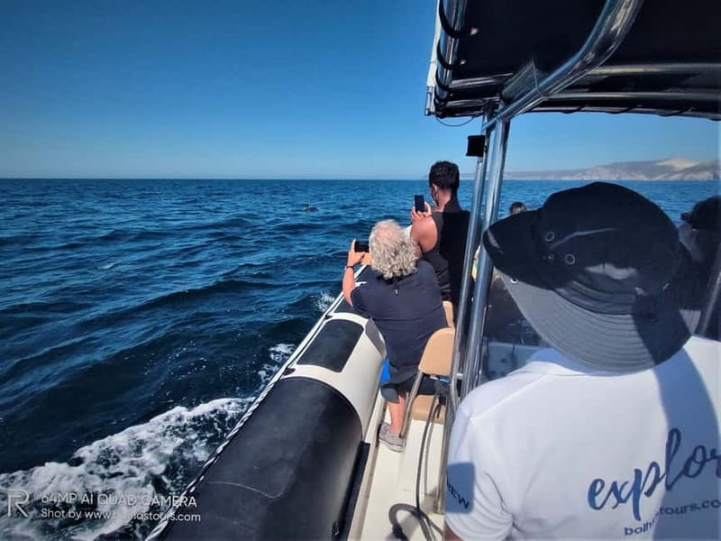 Sesimbra: Dolphin and Whales Watching with Biologist Guide - Why This Tour Stands Out