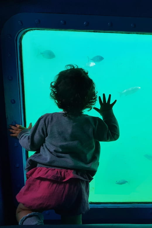 Sesimbra: Family Friendly Boat Sea Tour w/ Submarine Vision - Final Thoughts: Is It Worth It?