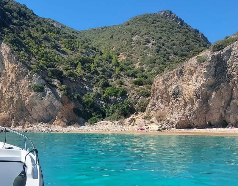 Sesimbra: Private boat trip in the Arrábida Natural Park. - Marine Life and Water Activities
