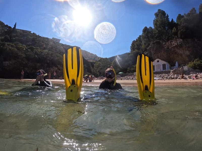 Sesimbra:Snorkeling experience in Marine Reserve with photos - Who Should Consider This Experience?