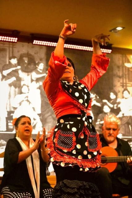 Seville: Flamenco Show at Tablao La Cantaora - What to Expect During the Performance