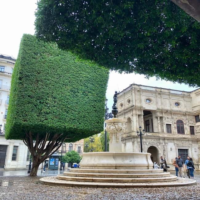 Seville Orientation Private Tour for New Visitors - What Makes This Tour Stand Out?