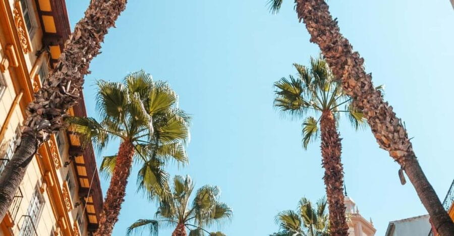 Seville: Transfer to Málaga with visit to Ronda - Logistics and Practical Details